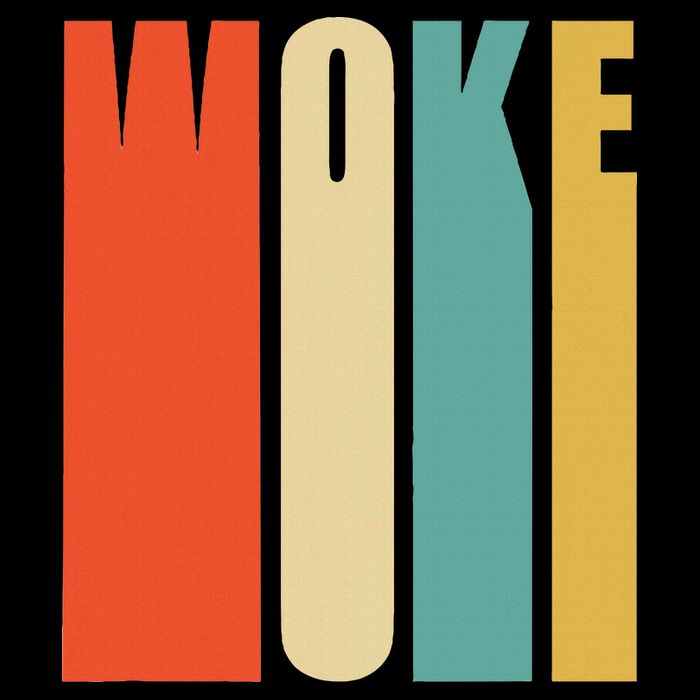 Woke Af Extremely Woke In Retro 60s Style 7-Panel Snapback Hat