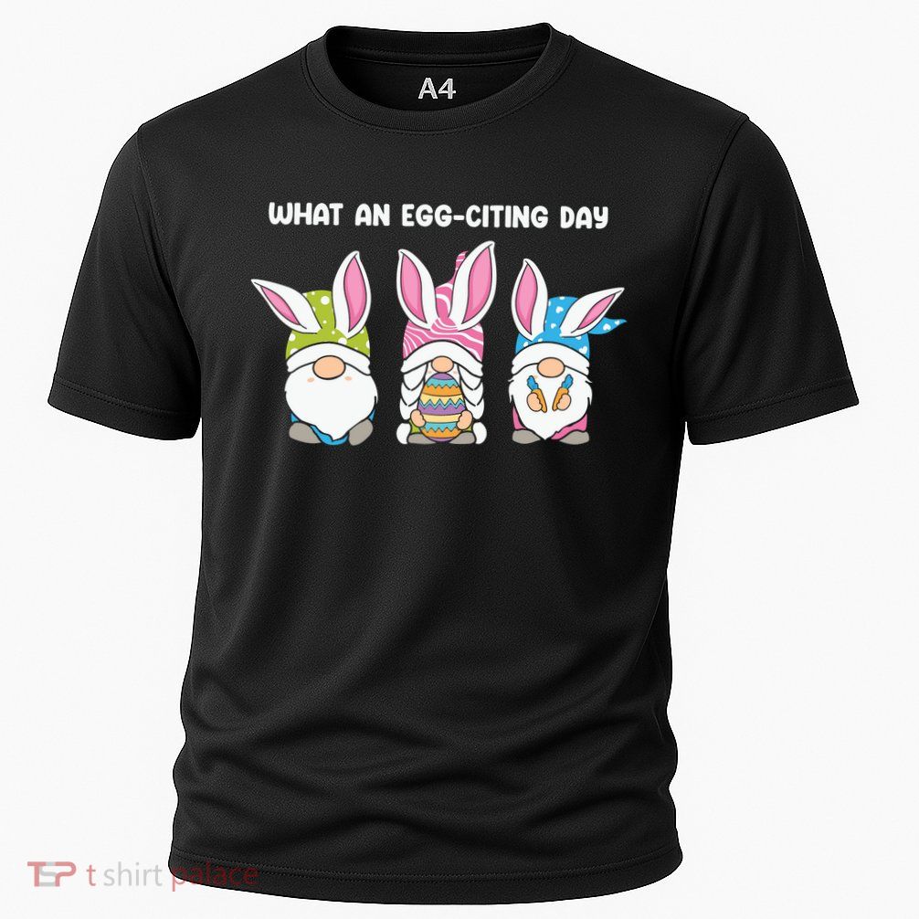 What An Eggciting Day Easter Gnome Easter Day Gift Performance Shirt