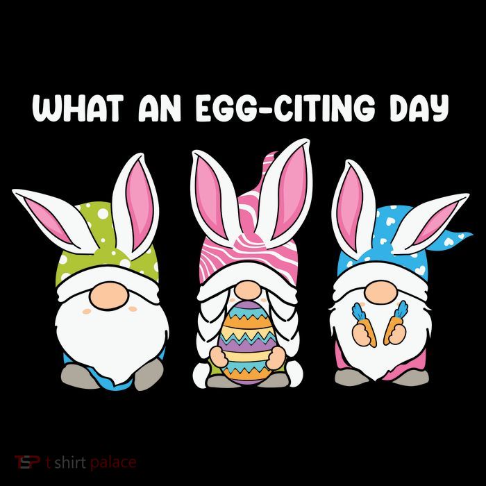 What An Eggciting Day Easter Gnome Easter Day Gift Performance Shirt