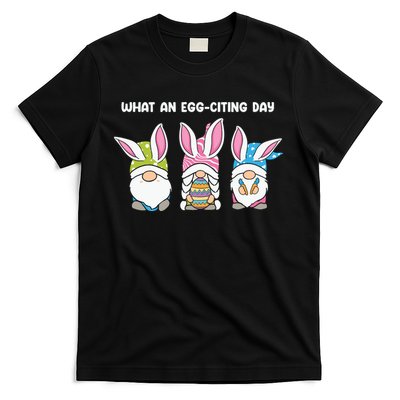 What An Eggciting Day Easter Gnome Easter Day Gift T-Shirt