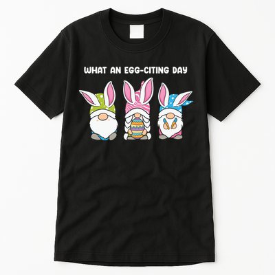 What An Eggciting Day Easter Gnome Easter Day Gift Tall T-Shirt