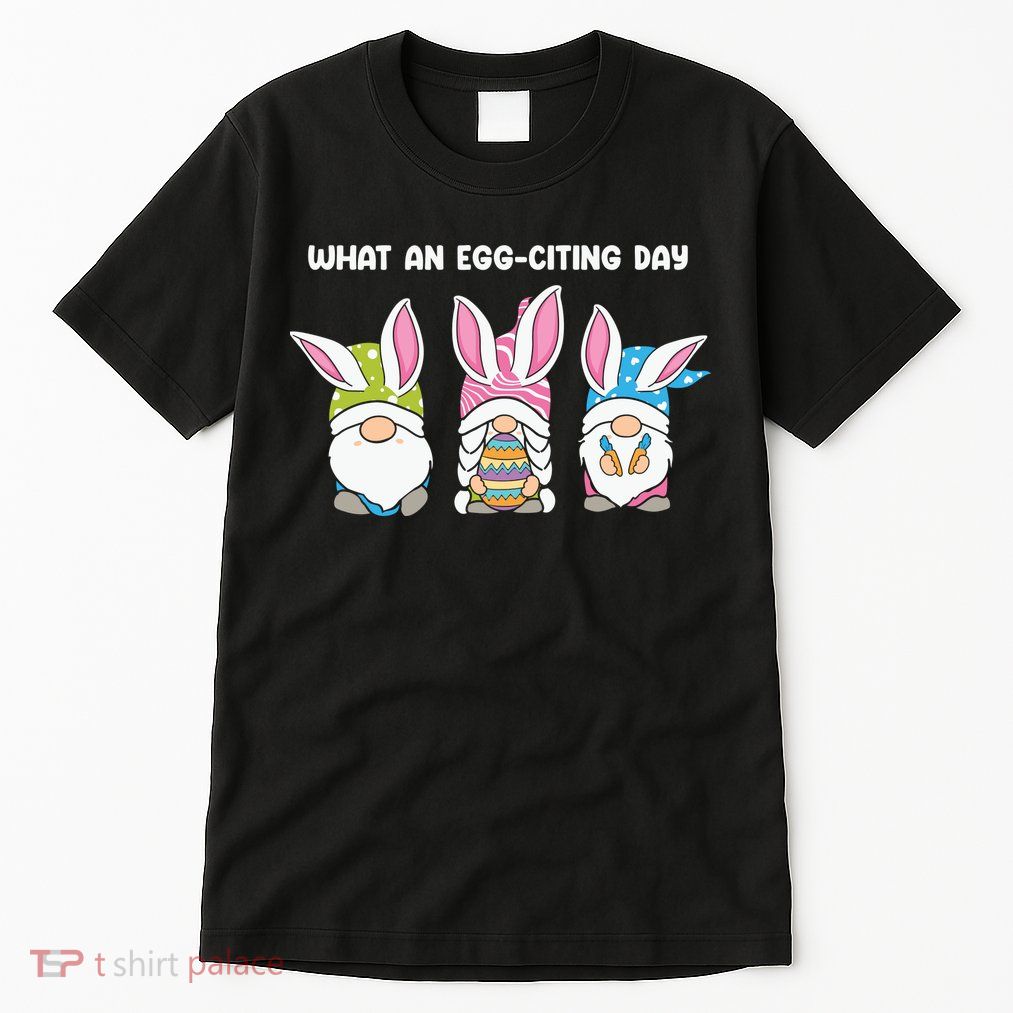 What An Eggciting Day Easter Gnome Easter Day Gift Tall T-Shirt