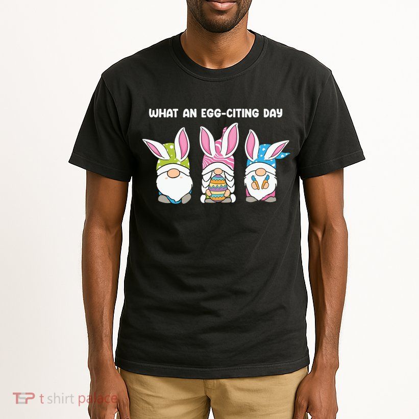 What An Eggciting Day Easter Gnome Easter Day Gift Tall T-Shirt