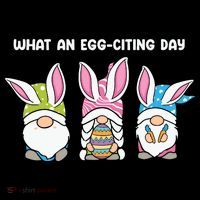 What An Eggciting Day Easter Gnome Easter Day Gift Youth Performance Sprint T-Shirt