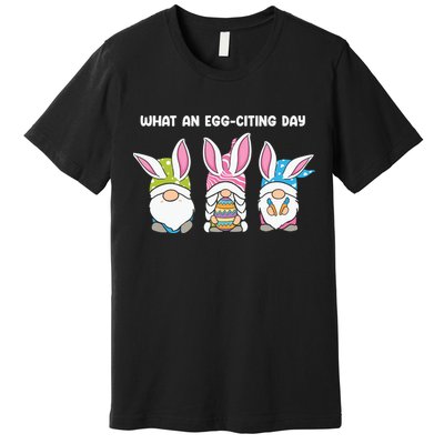 What An Eggciting Day Easter Gnome Easter Day Gift Premium T-Shirt