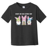 What An Eggciting Day Easter Gnome Easter Day Gift Toddler T-Shirt