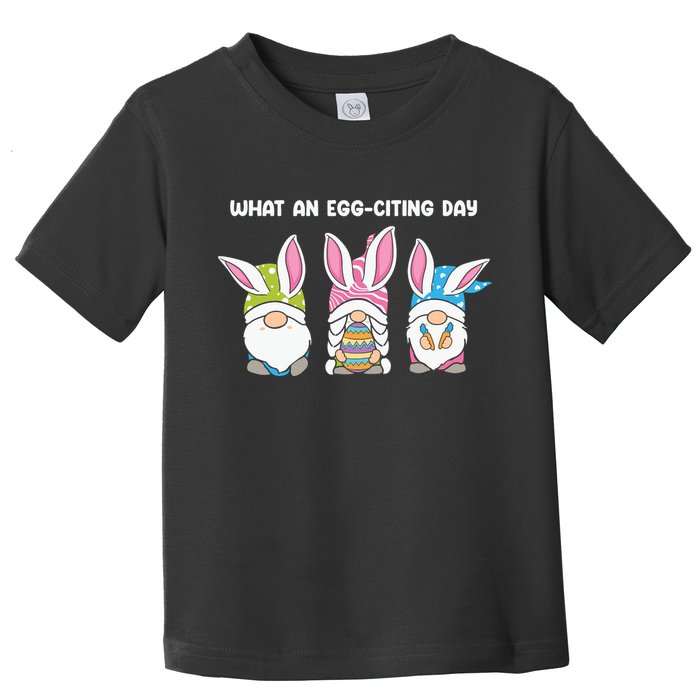 What An Eggciting Day Easter Gnome Easter Day Gift Toddler T-Shirt