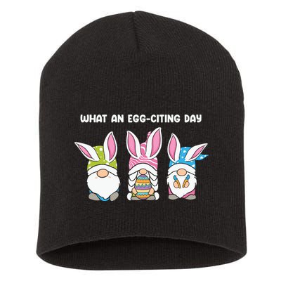 What An Eggciting Day Easter Gnome Easter Day Gift Short Acrylic Beanie