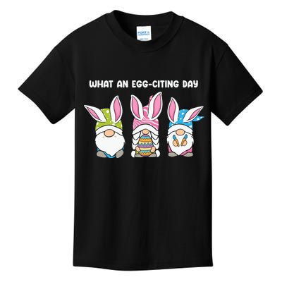 What An Eggciting Day Easter Gnome Easter Day Gift Kids T-Shirt