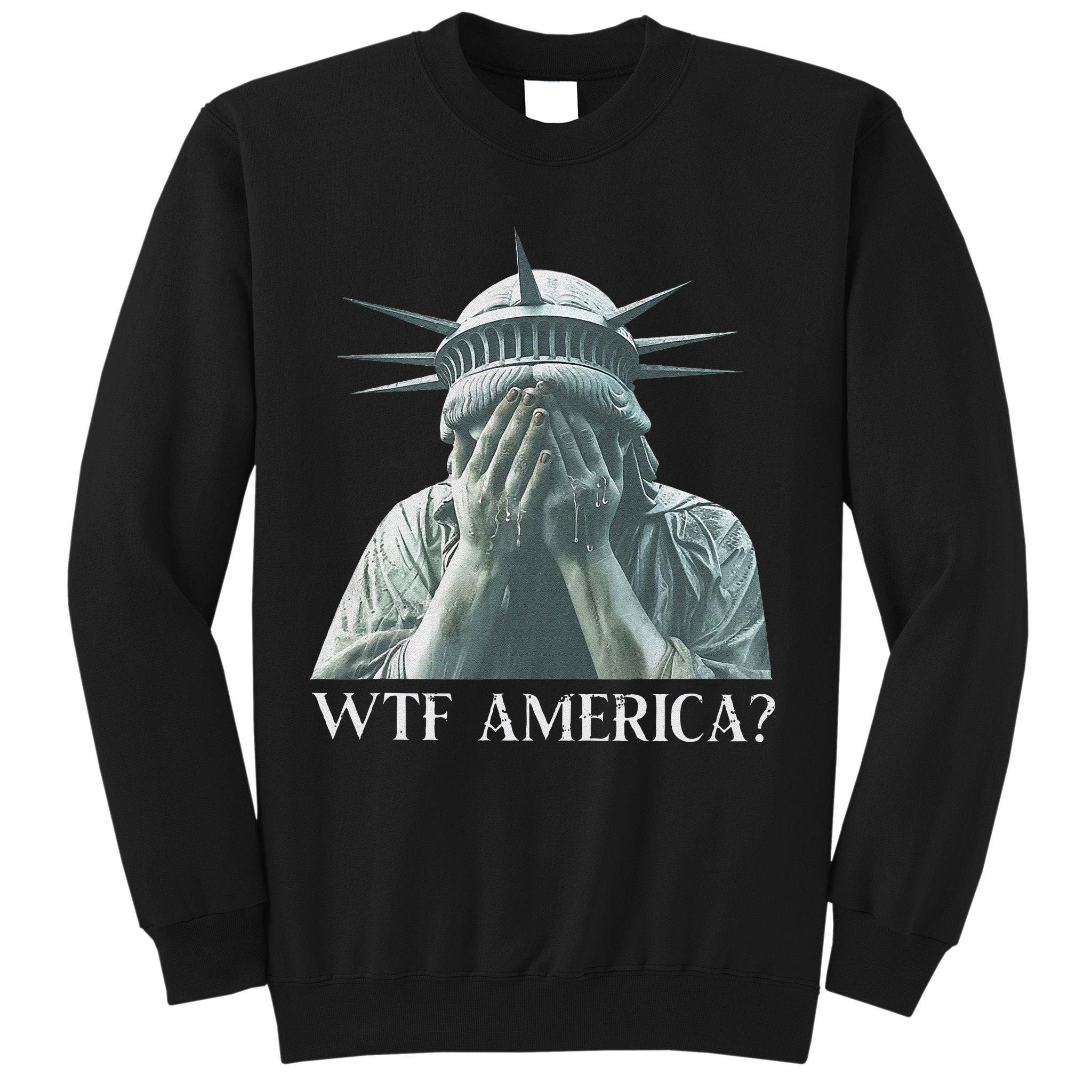 Wtf America Gift Sweatshirt