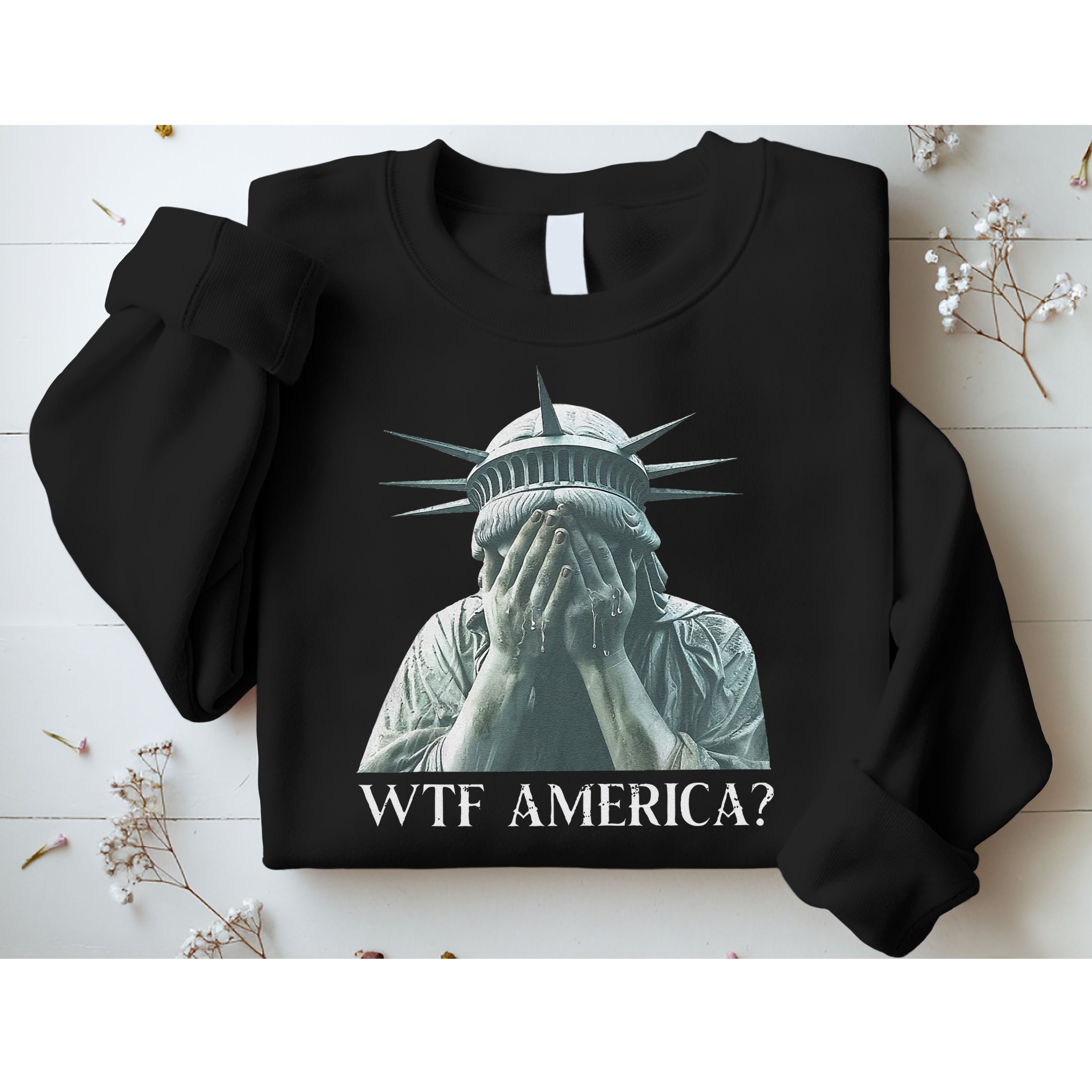Wtf America Gift Sweatshirt