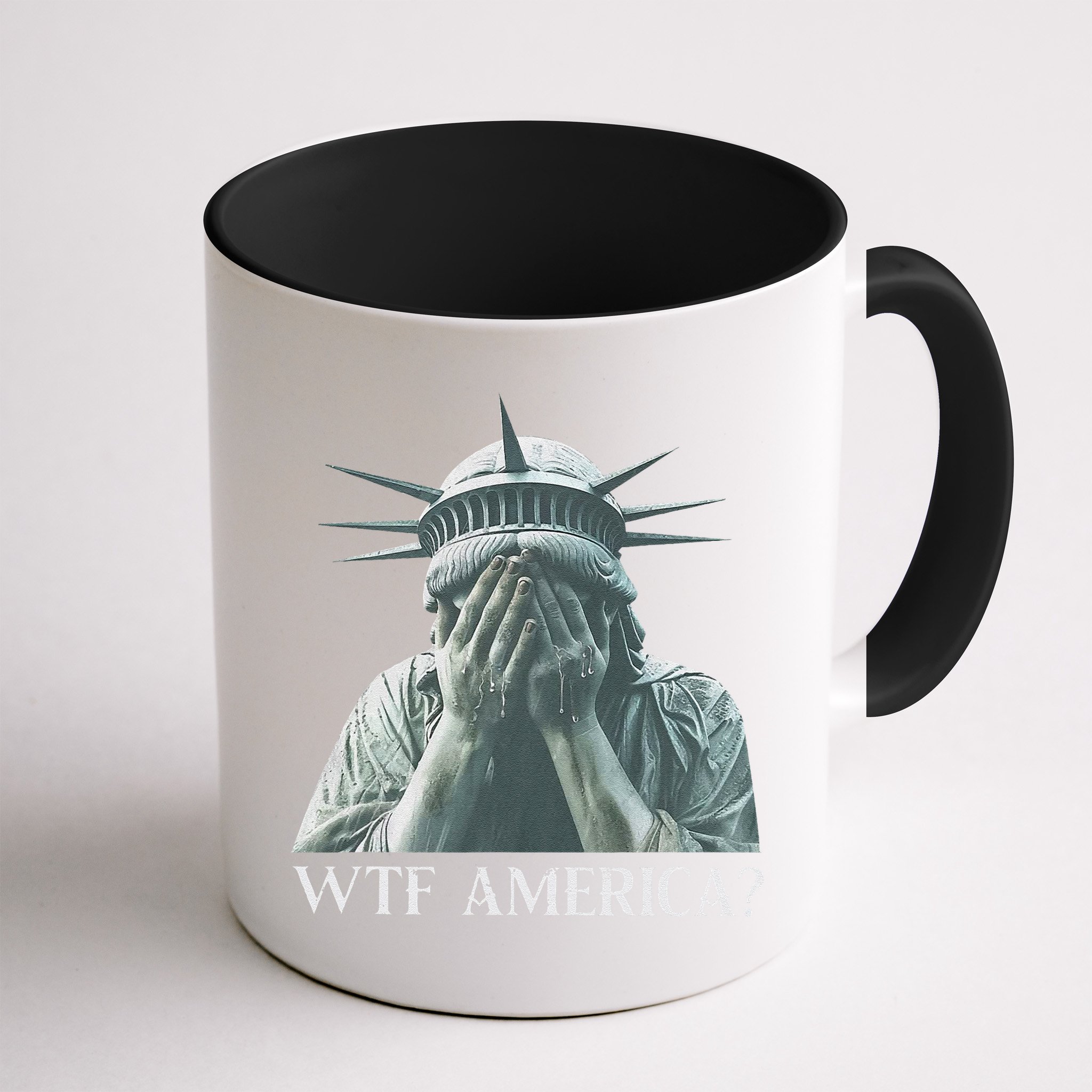 Wtf America Gift Mug