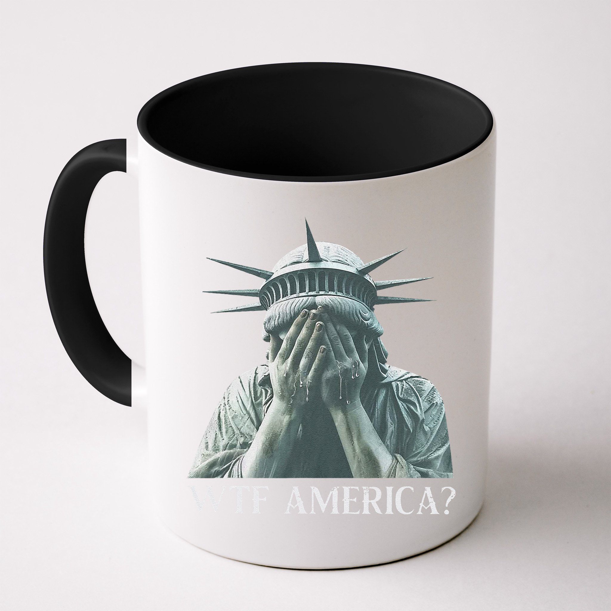 Wtf America Gift Mug