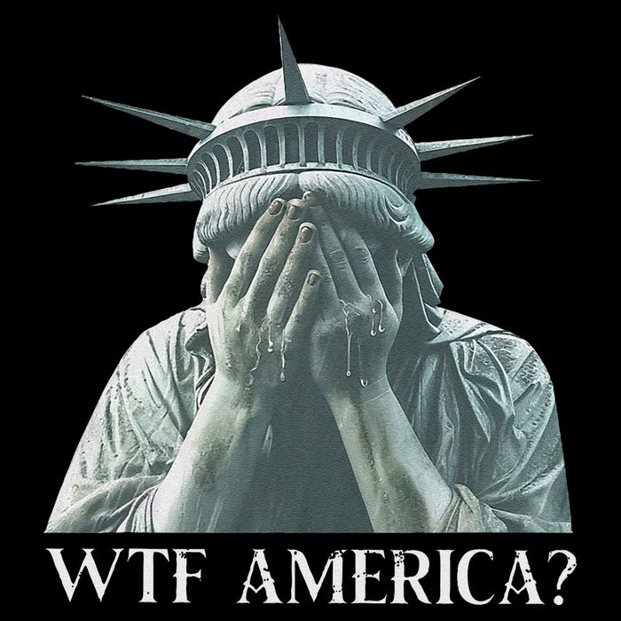 Wtf America Gift Mug