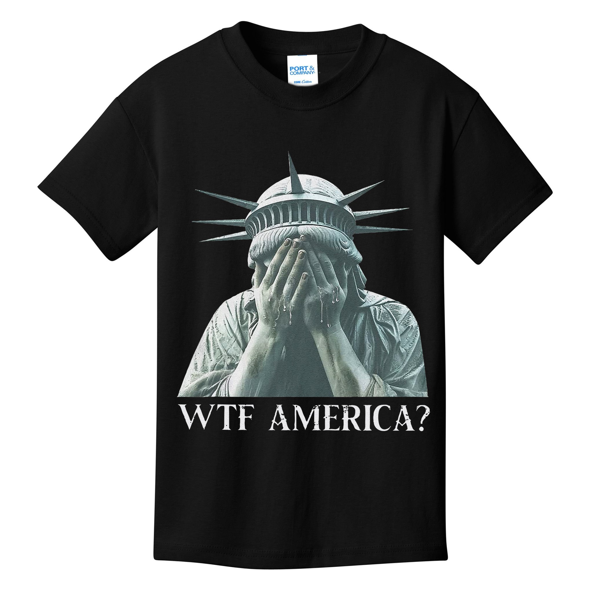 Wtf America Gift Kids T-Shirt