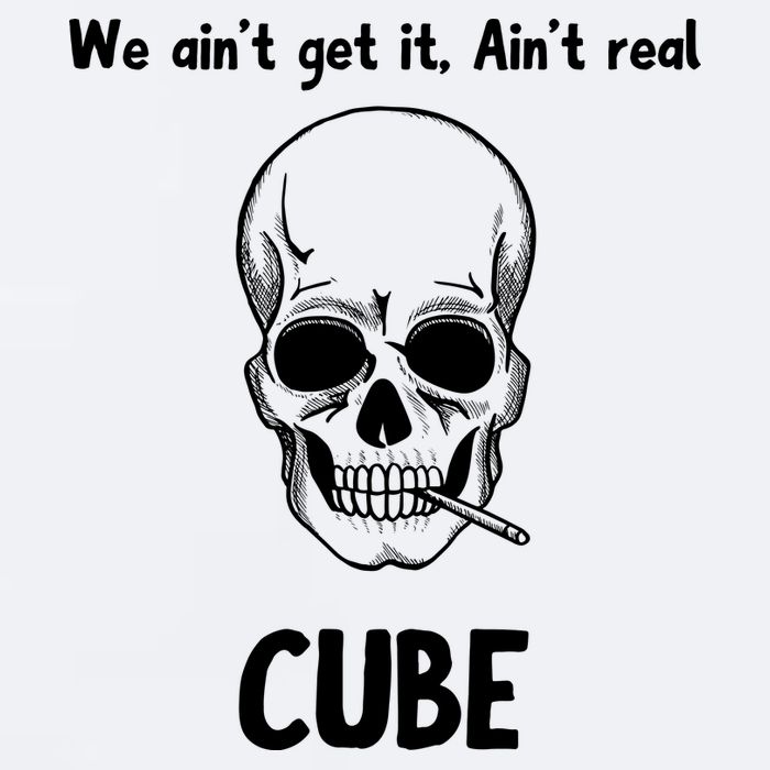 We Ain't Get It, Ain't Real CUBE Sueded Cloud Jersey T-Shirt