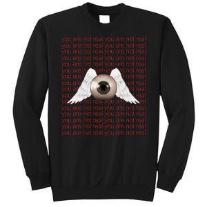 Weirdcore Aesthetic Human Eye Winged Eyeball Strangecore Sweatshirt