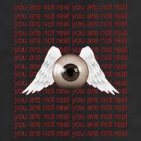 Weirdcore Aesthetic Human Eye Winged Eyeball Strangecore Beanie