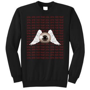 Weirdcore Aesthetic Human Eye Winged Eyeball Strangecore Tall Sweatshirt