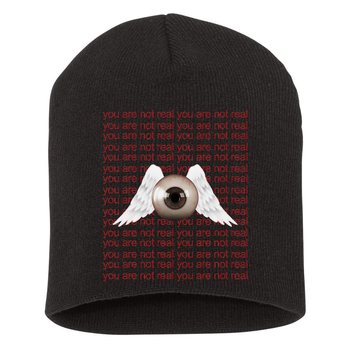 Weirdcore Aesthetic Human Eye Winged Eyeball Strangecore Short Acrylic Beanie