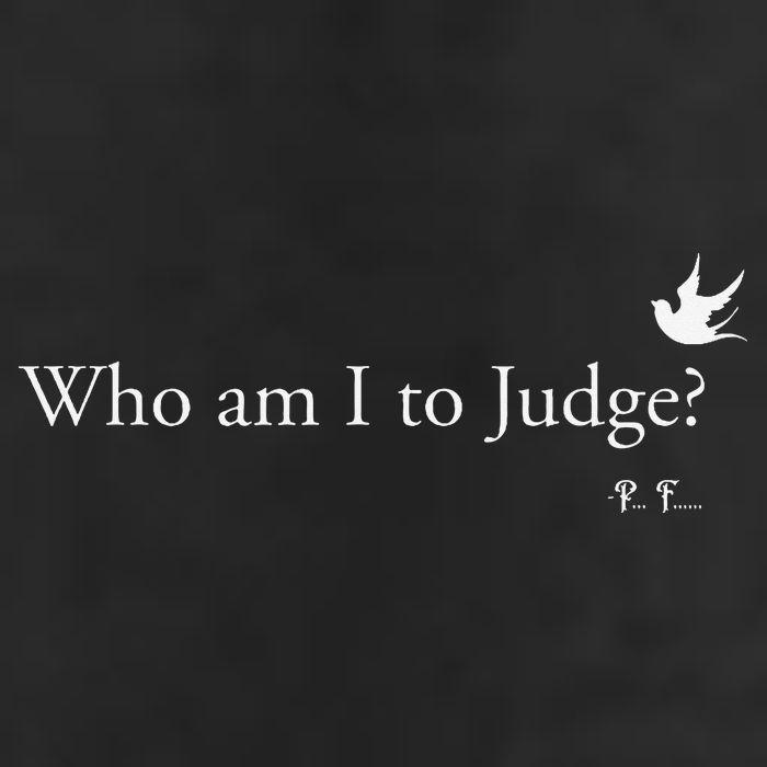 Who Am I To Judge 7 Panel Mesh Trucker Snapback Hat