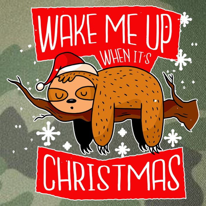 Wake Me Up When It's Christmas Funny Sloth Legacy Tie Dye Trucker Hat