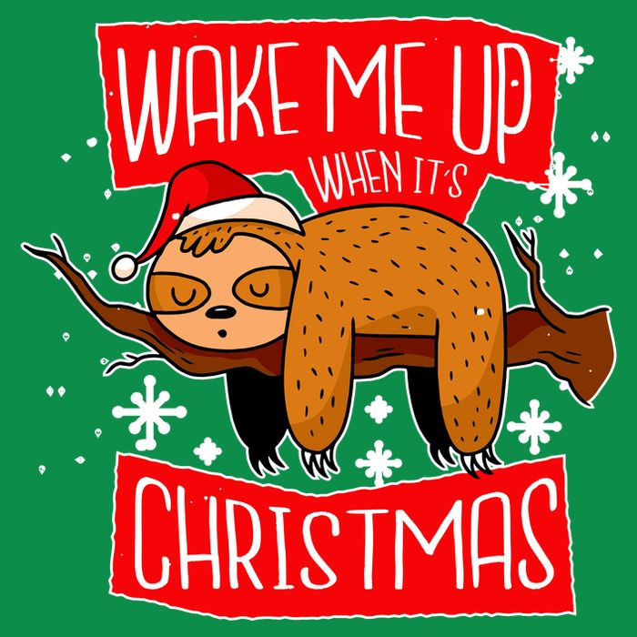 Wake Me Up When It's Christmas Funny Sloth Sweatshirt