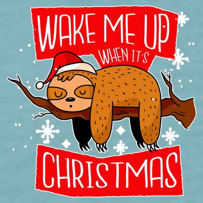 Wake Me Up When It's Christmas Funny Sloth Sueded Cloud Jersey T-Shirt