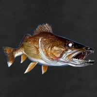 Walleye Cool Comfort Performance Bucket Hat