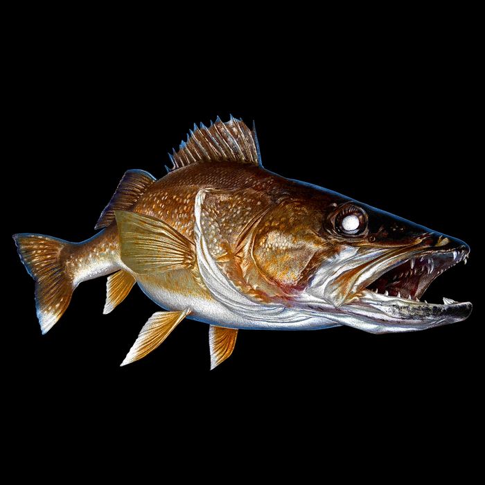 Walleye Backpack