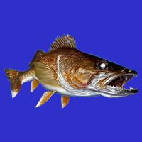 Walleye T-Shirt