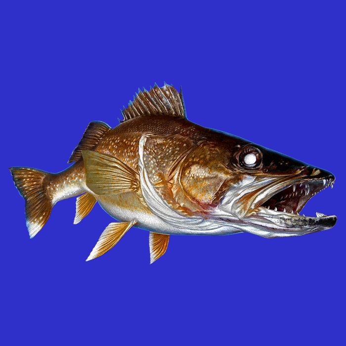 Walleye T-Shirt