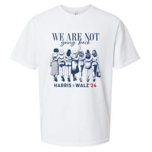 We Are Not Going Back Kamala Harris Waltz 24 Madam President Sueded Cloud Jersey T-Shirt