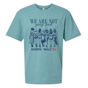 We Are Not Going Back Kamala Harris Waltz 24 Madam President Great Gift Sueded Cloud Jersey T-Shirt