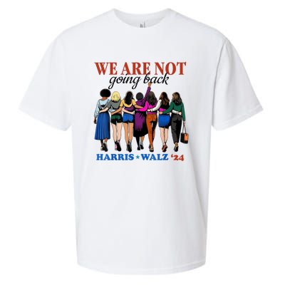 We Are Not Going Back Kamala Harris Waltz 24 Madam President Sueded Cloud Jersey T-Shirt