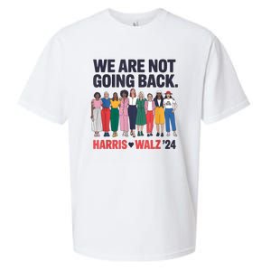 We Are Not Going Back Kamala Harris Waltz 24 Madam President Sueded Cloud Jersey T-Shirt