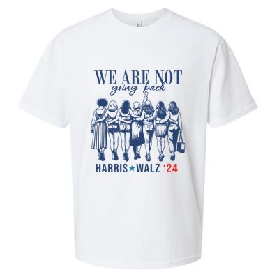 We Are Not Going Back Kamala Harris Waltz 24 Eleciton Sueded Cloud Jersey T-Shirt