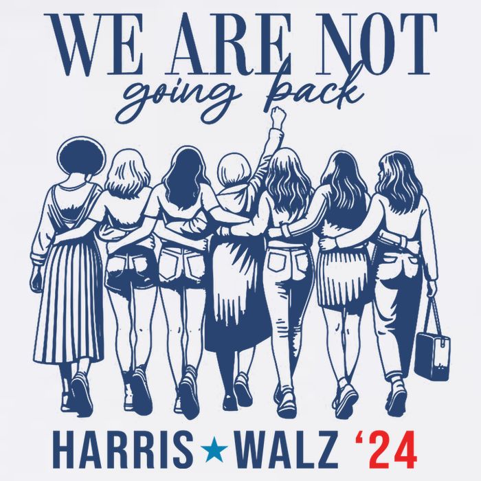 We Are Not Going Back Kamala Harris Waltz 24 Eleciton Flatbill Hat