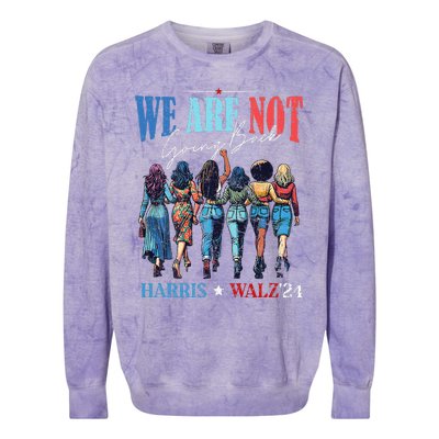 We Are Not Going Back Kamala Harris Waltz 24 Colorblast Crewneck Sweatshirt