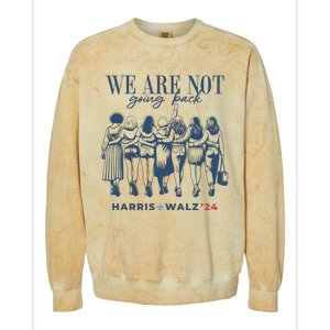 We Are Not Going Back Vote Harris Walz Colorblast Crewneck Sweatshirt