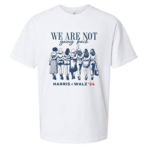 We Are Not Going Back Vote Harris Walz Sueded Cloud Jersey T-Shirt