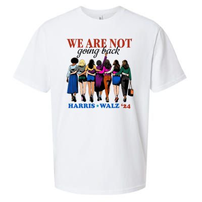 We Are Not Going Back Kamala Harris Waltz 24 Madam President Sueded Cloud Jersey T-Shirt