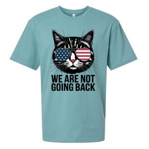 We Are Not Going Back Election Day Themed Artwork Sueded Cloud Jersey T-Shirt