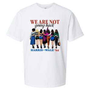 We Are Not Going Back Kamala Harris Waltz 24 Madam President Sueded Cloud Jersey T-Shirt