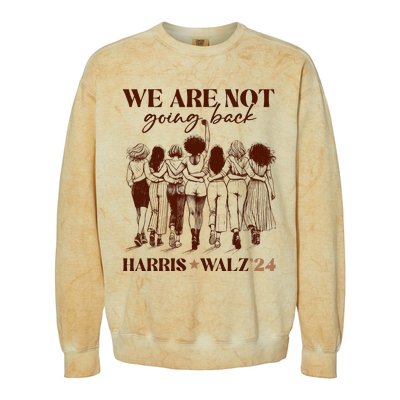 We Are Not Going Back Vote Harris Democratic Election 2024 Colorblast Crewneck Sweatshirt