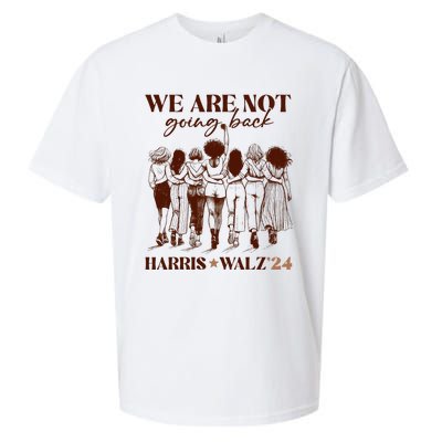 We Are Not Going Back Vote Harris Democratic Election 2024 Sueded Cloud Jersey T-Shirt