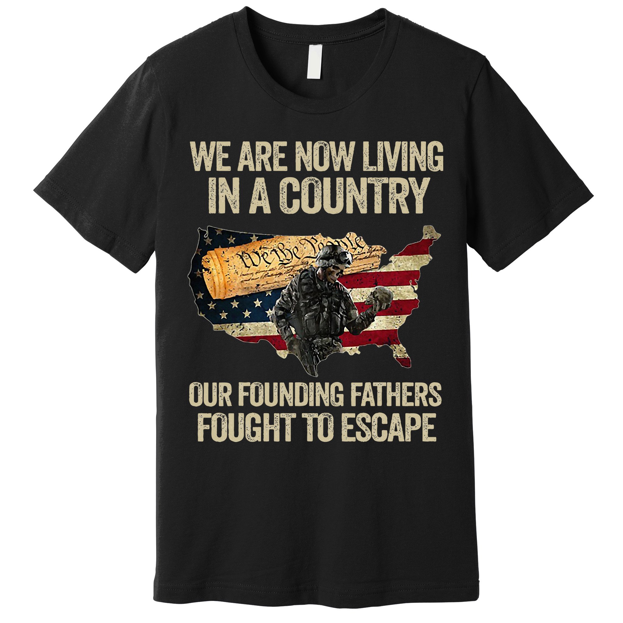 We Are Now Living In A Country Our Founding Fathers Fought Premium T-Shirt
