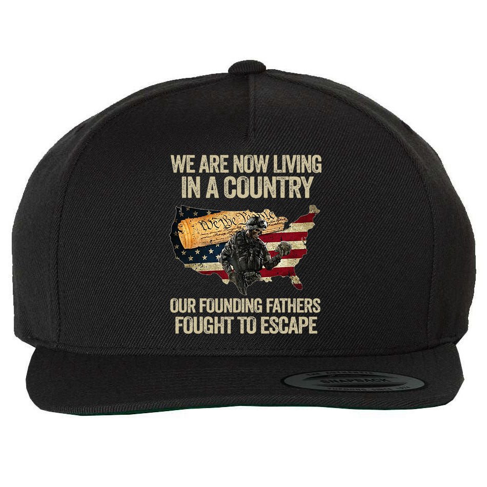 We Are Now Living In A Country Our Founding Fathers Fought Wool Snapback Cap
