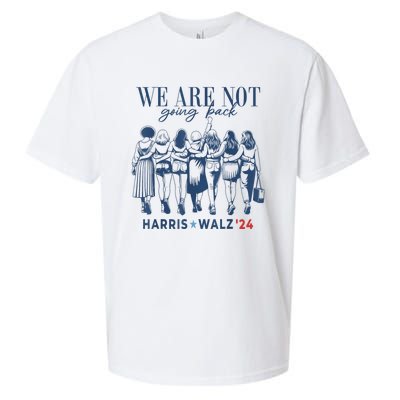 We Are Not Going Back Kamala Harris Waltz 24 Madam President Sueded Cloud Jersey T-Shirt