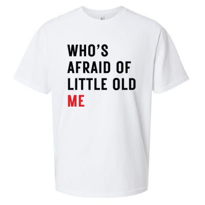 Whos Afraid Of Little Old Me Sueded Cloud Jersey T-Shirt